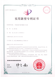 �����������ŷ��źŵ���ʵ������ר��֤��